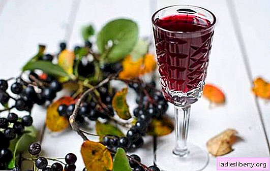 Vin fra chokeberry i hjemmet - en unik drink! Opskrifter til fremstilling af aromatisk vin fra aronia derhjemme