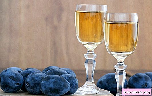 Plum wine at home: do not know how - we will teach! Features of cooking this wine from plums at home