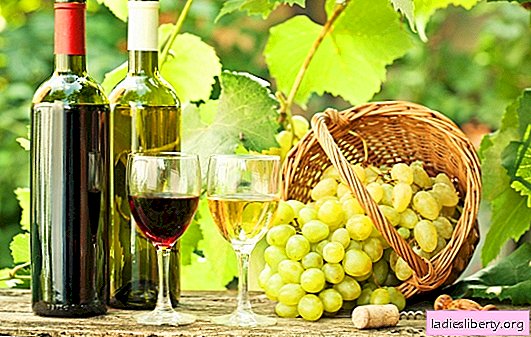 النبيذ من العنب في المنزل - مفيدة! أسرار صناعة النبيذ من العنب في المنزل