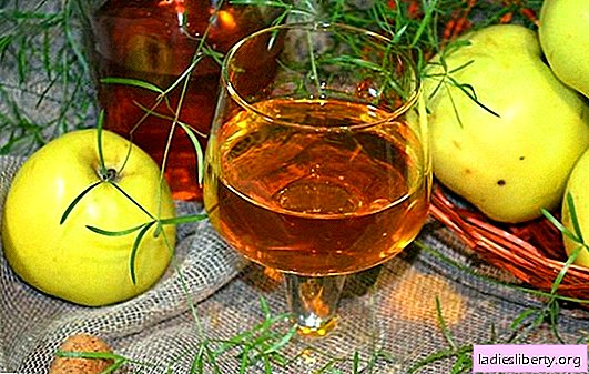 Wine from apples at home - not easy, but very simple! Recipes for making delicious apple wines at home