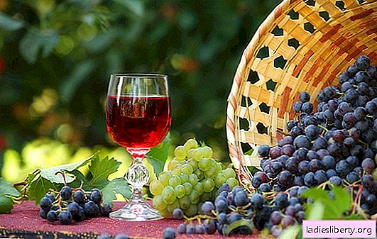 Le vin à la maison est une recette simple pour une boisson riche. Vin fait maison: des recettes simples pour les débutants