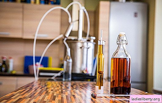 Whisky thuis - hoe maak je het? De beste recepten voor whisky van maneschijn, geheimen, technologie en aanbevelingen