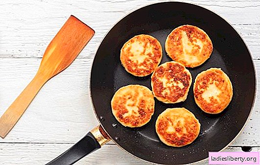 Delicious airy cottage cheese pancakes in a pan. Step-by-step recipes for cottage cheese pancakes in a pan with and without filling