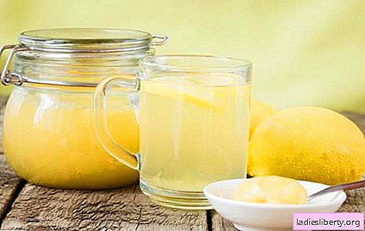 Deliciosa y aromática miel meliloto dulce: propiedades beneficiosas y contraindicaciones. Todo lo que necesitas saber sobre los beneficios de la miel de trébol