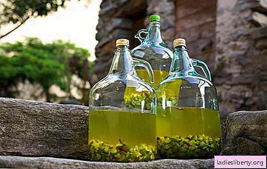 Taste and quality features of fruit raw materials for homemade gooseberry wine. Gooseberry wine technology in pro recipes