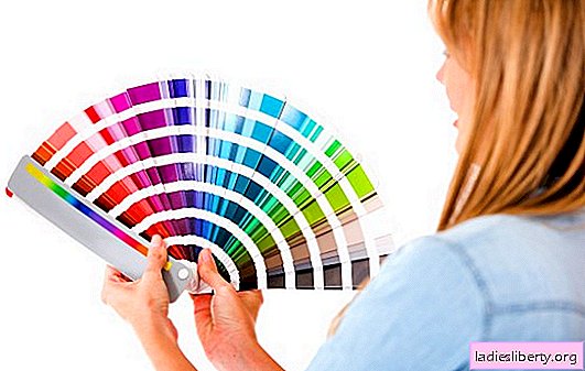 Die Wirkung von Farbe auf Mensch und Umwelt. Praktische Tipps