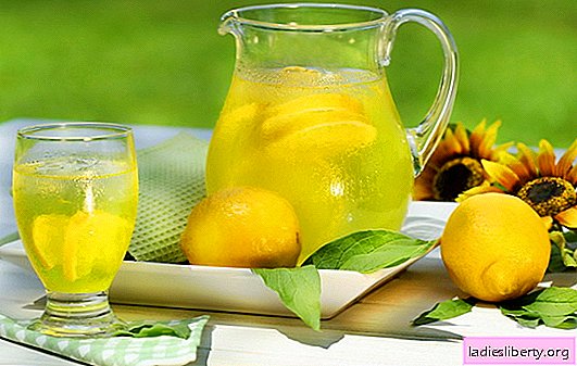 L'eau au citron: avantages et inconvénients. Les propriétés étonnantes de l'eau au citron, les avantages de cette boisson lorsqu'elle est consommée à jeun