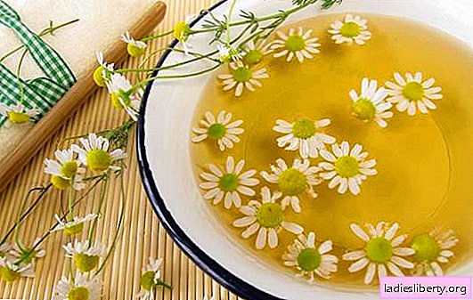 The magic remedy is camomile for the face. How to use chamomile broth for the face