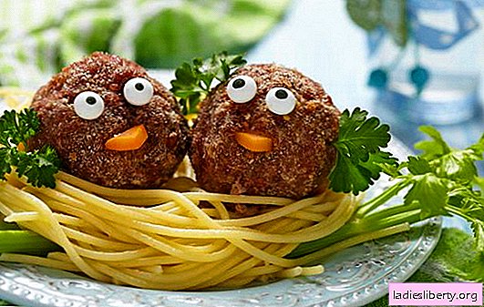 All the secrets of making meatball soup for kids. The best meatball recipes for children under 1 year old