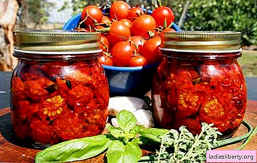 Sun-dried tomatoes for the winter - the most it! Simple and affordable methods of stocking dried tomatoes for the winter
