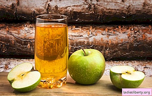 Apple Kwas - die Verfügbarkeit von Rezepten, die Einfachheit der Technologie. Erfrischender und heilender Apfel-Kwas pro Tag und noch schneller