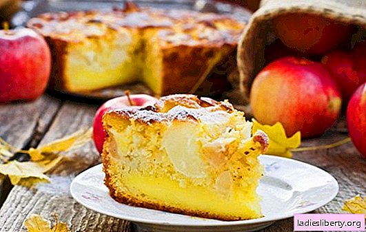 Torta de maçã (receita passo a passo) é um deleite caseiro favorito. Torta de maçã: uma rápida receita passo a passo