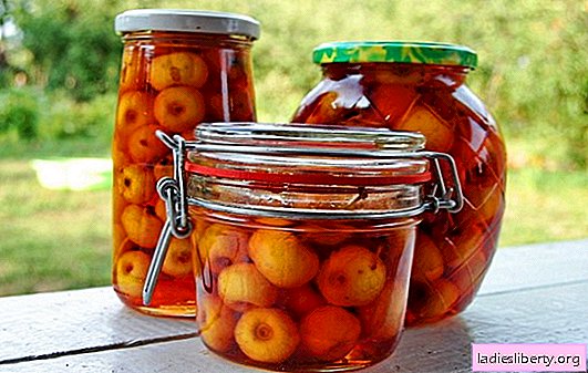 Maçãs em seu próprio suco para o inverno: frutas que podem ser preservadas. Opções para colheita interessante - maçãs em seu próprio suco