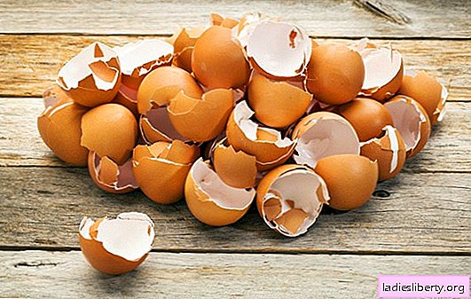 Cascas de ovos: uso de fonte de cálcio, regras para seu uso. Casca de ovo: dano ao produto