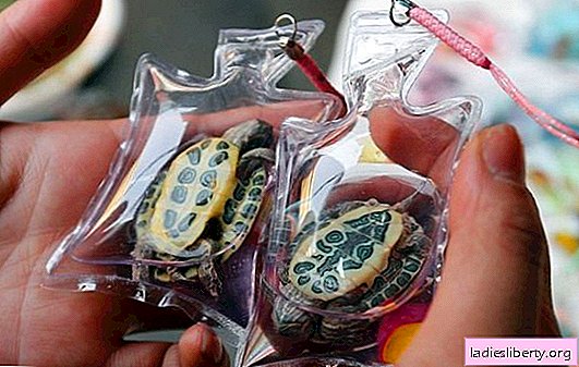 Japanilaiset konditorit antavat superlahjan idean rakkaalle! Kuka hyötyy suklaa-amuletteista?