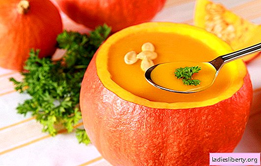 Bright and tender pumpkin cream soup: recipes and tricks of cooking. Original serving and recipe for healthy pumpkin cream soups