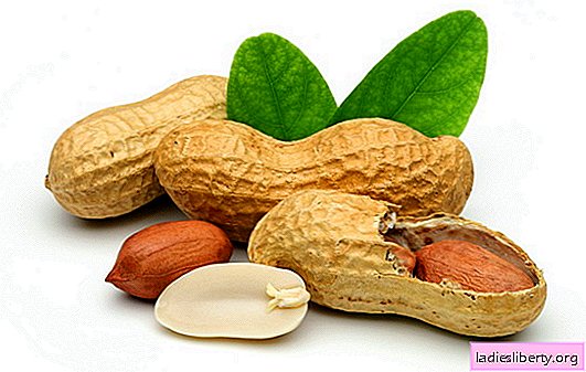 The riddle of peanuts: beneficial or harmful to the body? Peanuts for children, pregnant women, its calorie content and properties