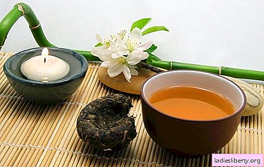 Mysterious Puer: is it useful or harmful? Facts about the benefits and harms of puerh for the body, the correct procedure for brewing it