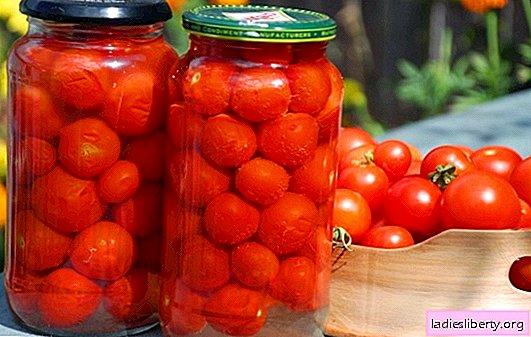 We harvest homemade tomatoes for the winter. The best recipes for canning homemade tomatoes for the winter