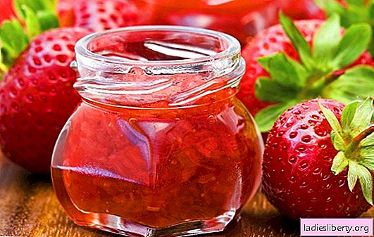 Preparations for the winter from strawberries - from jam to compotes. The best and brightest recipes for winter strawberries