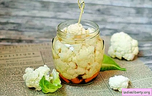 Cauliflower appetizer - classic and innovative solutions! Homemade cauliflower snacks according to different recipes