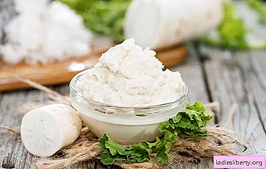 Horseradish appetizer - a spicy home-made dish. Cooking a delicious and spicy horseradish appetizer with vegetables and fruits