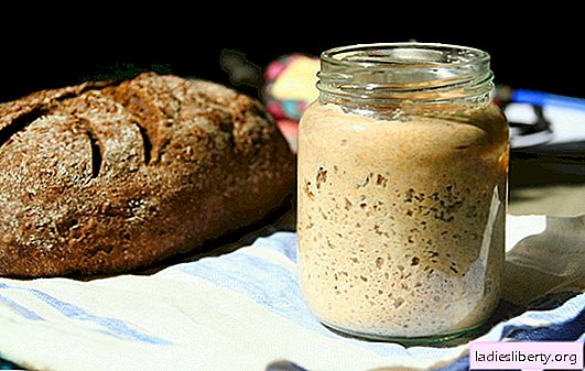 La masa madre para el pan es el secreto principal de los deliciosos pasteles rústicos. Recetas nuevas y probadas para el pan de masa madre