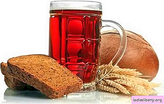 العجين المخمر ل kvass خالية من الخميرة على الشعير ، فتات الخبز ، الشوفان. معلومات مفيدة عن صنع كفاس خالية من الخميرة