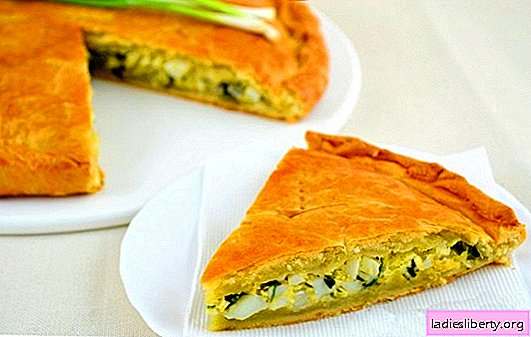 Jellied pie dengan bawang hijau dan telur - resipi untuk membuat pastri wangi! Rahsia membuat pai jellied dengan bawang hijau dan telur