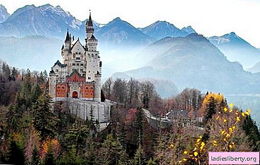 قلعة نويشفانشتاين في ألمانيا: جبال الألب وملك الحالم وبحيرة سوان