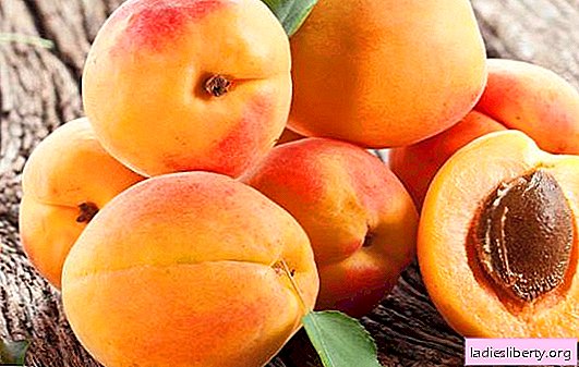 Frieren Aprikosen ein, was passiert, wenn Sie sie auftauen. Rezepte, Empfehlungen zum Einfrieren von Aprikosen für den Winter
