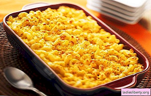 Cheese pasta casserole in the oven - hearty! Original mushroom, meat, vegetable pasta casseroles in the oven with cheese