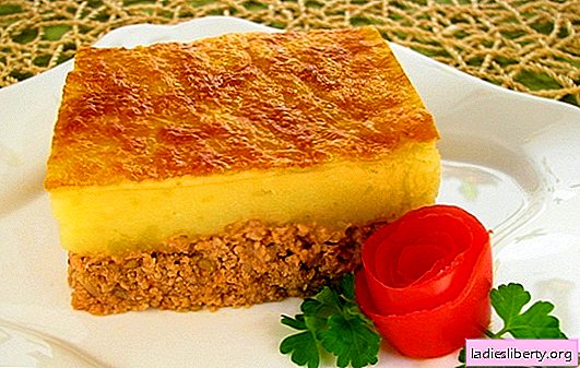 Mashed casserole is a delicate dish for the whole family. Proven and new recipes for mashed potatoes with minced meat, liver, fish and mushrooms