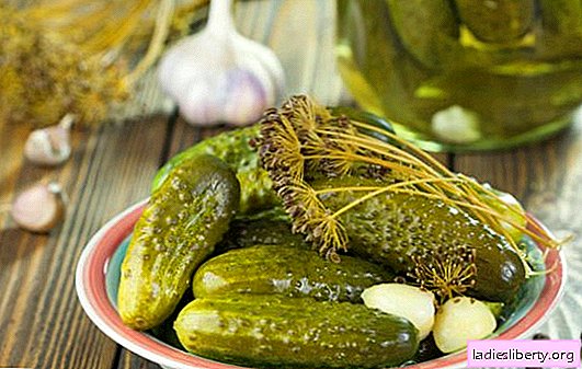 Pickling cucumbers for the winter: the traditional summer marathon. Recipes for pickling cucumbers for the winter (cold and hot)