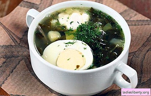 Zuppa di cavolo verde - una carica di vitamine e un gusto brillante! Ricette di zuppa di cavolo verde diverso con acetosa e cavolo, funghi, pesce, ortica, fagioli