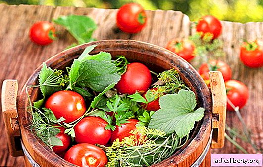 Verde e vermelho, o sabor é maravilhoso, tomates salgados em um barril para o inverno. Diferentes formas de colher tomates no barril para o inverno