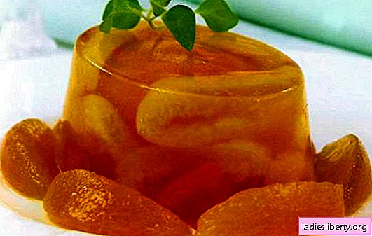 Apricot jeli - kecerahan warna dan rasa. Pemilihan resipi jelly aprikot yang berbeza