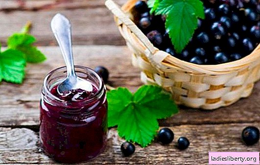 Blackcurrant jelly - a pantry of health. How to make tasty and healthy blackcurrant jelly with citruses, gooseberries, raspberries