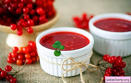 Jelly from viburnum is both a delicacy and a medicine. We prepare jelly from viburnum as a dessert for the winter, pitted and cooked, with pumpkin and honey
