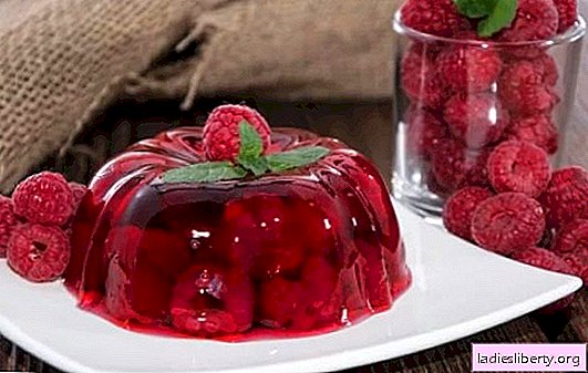 Berry jelly with gelatin is a light, healthy, refreshing dessert. A selection of the best recipes for jelly from berries with gelatin