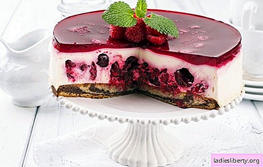 Jelly cake avec des pâtisseries - un goût rafraîchissant! Options de gâteaux avec des pâtisseries et des couches différentes