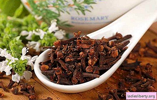 Hot seasoning cloves: benefits and harms. What are the indications and contraindications for the use of cloves (spices)?